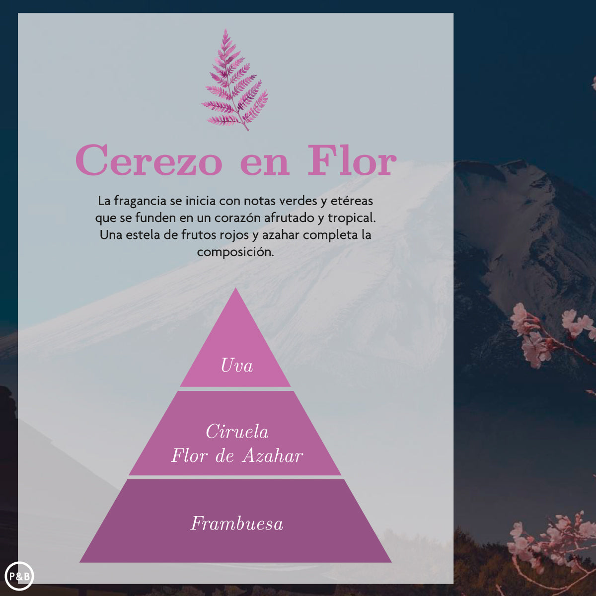 Vela Cerezo en Flor 125 gr Ambar Zen