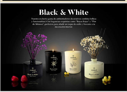 Vela Black & White Bayas Rojas