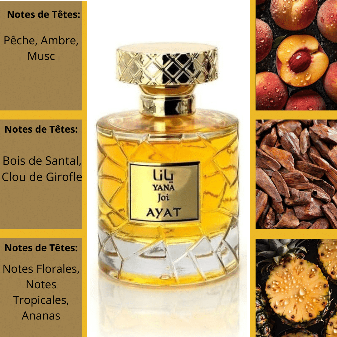 PERFUME ARABE YANA JOI - AYAT 100ml